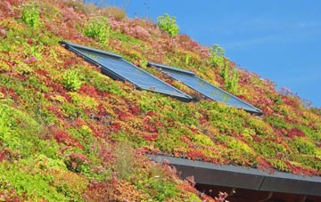 Muchelney living roof systems